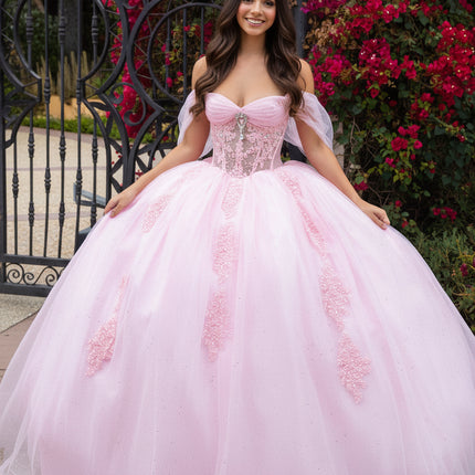 Royal Sheer Radiance Sweetheart Gown - Baby Pink