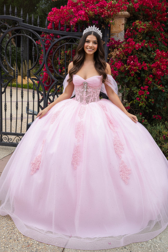 Royal Sheer Radiance Sweetheart Gown - Baby Pink