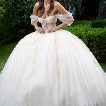 Royal Sheer Radiance Sweetheart Gown - Champagne