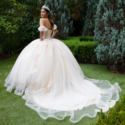 Royal Sheer Radiance Sweetheart Gown - Champagne