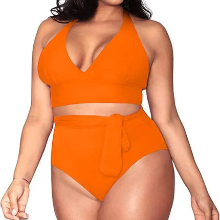 Lovely Vibrant Plus Size Bikini Orange