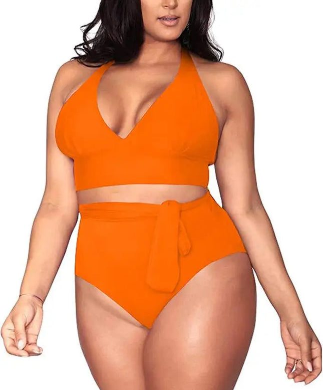 Lovely Vibrant Plus Size Bikini Orange