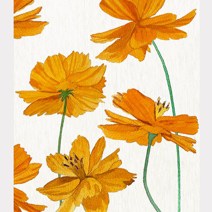 Orange Cosmos On Snow - Art