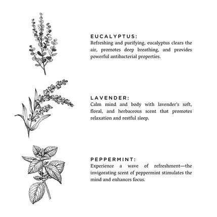 Of The Sea Eucalyptus Lavender Peppermint 3-Wick Candle