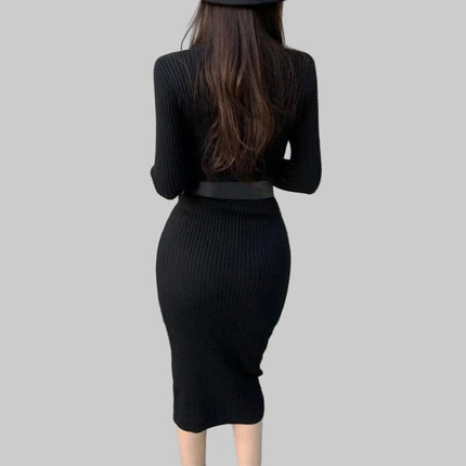 Autumn Winter Turtleneck  Knitted Dress