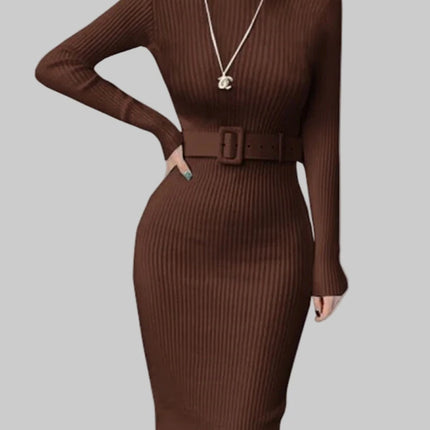 Autumn Winter Turtleneck  Knitted Dress