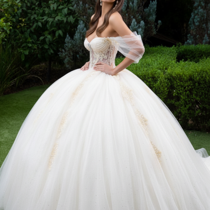 Royal Sheer Radiance Sweetheart Gown - Champagne