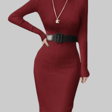 Autumn Winter Turtleneck  Knitted Dress