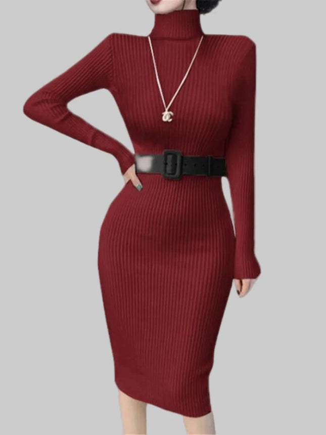 Autumn Winter Turtleneck  Knitted Dress
