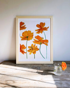 Collection image for: Home Charm